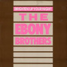 Ebony Brothers - Brighten Up Your Night (Original Mix / Dubstitute Version)