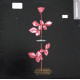 Depeche Mode - Violator (9 Track LP) World In My Eyes / Personal Jesus / Enjoy The Silence / Policy Of Truth (Promo Stamped)