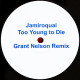 Jamiroquai - Too Young To Die (Grant Nelson Remix)