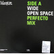Mansun - Wide Open Space (Perfecto Mix / Trouser Enthusiasts Hermaphrodite Circus Mix) Vinyl Promo