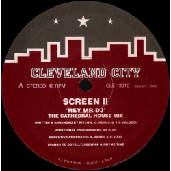 Screen II - Hey Mr DJ (12" Edit / Stab Mix / Cathedral House Mix)