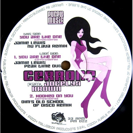 Cerrone Feat Jocelyn Brown - Hooked On You (Dimitri From Paris Remix) / You Are The One (Jamie Lewis Nu Flava Remix)