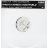 Tears For Fears - Change (2 Joey Negro Mixes) / Shout (3 Remixes) / Mad World (Afterlife Remix) Doublepack Promo