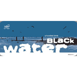 A Hundred Birds - Black Water (Original / Dub) / Come Together