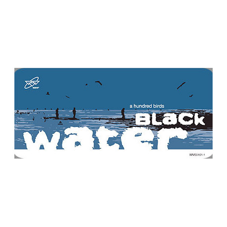 A Hundred Birds - Black Water (Original / Dub) / Come Together