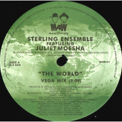 Sterling Ensemble Featuring Juliet Moesha - The World (Vega Mix / Instrumental / Beats)