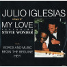 Julio Iglesias - Begin The Beguine / My Love (Feat Stevie Wonder) / Words & Music / Hey