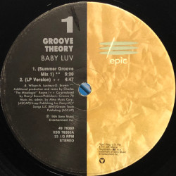 Groove Theory - Baby Luv (Summer Groove Mix 1 / Summer Groove 1 Inst / Summer Groove 2 Inst / Acappella) Vinyl Promo