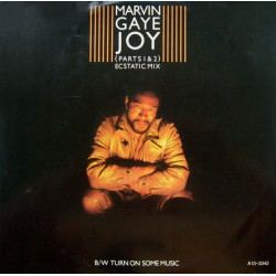 Marvin Gaye - Joy (Ecstatic Mix) / Turn On Some Music