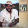 Marvin Gaye - Sexual Healing (Club Mix) / Sanctified Lady (Extended Version / Instrumental)