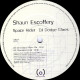 Shaun Escoffery - Space Rider (Original Mix / Soul Inside Mix / Dodge Miami Mix / Miami Instrumental) Vinyl Promo