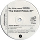 Sky Juice Presents Infinate - Distant Plateau (Original Vibe / Central Nervous System / Skitzoid Club Mix) / DNA (Remix)