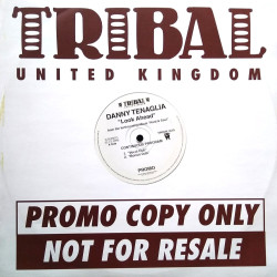 Danny Tenaglia - Look Ahead (LP Version / Vocal Dub / Bonus Dub / Radio Edit) Vinyl Promo (Cover Of The Aquarian Dream Classic)