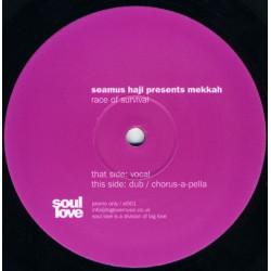 Seamus Haji Presents Mekkah - Race Of Survival (Vocal Mix / Dub / Chorus Apella) Vinyl Promo