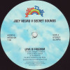 Joey Negro Vs Secret Sounds - Love Is Freedom (Vinyl Promo)