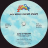 Joey Negro Vs Secret Sounds - Love Is Freedom (Vinyl Promo)