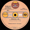 Norma Jean - Sorcerer (Special Disco Mix) / I Believe In You (Vinyl Promo) Produced By Chic