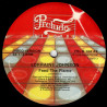 Lorraine Johnson - Feed The Flame (Francois Kevorkian Disco Mix) Vinyl Promo