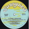 Dynamic Breakers - Dynamic (Total Control) Vocal Mix / Dub Version) Writing On Label