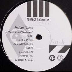 Indian Ocean - School Bell / Treehouse (Walter Gibbons Mix / Version / Short Version) Vinyl Promo