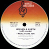 Heaven & Earth - I Really Love You (Vocal Mix / Instrumental) Vinyl Looks Hardly Played