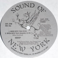 Indeep - When Boys Talk (Extended / Instrumental / Acappella / Scratch Mix 1 / Scratch Mix 2) Still In Shrink Wrap