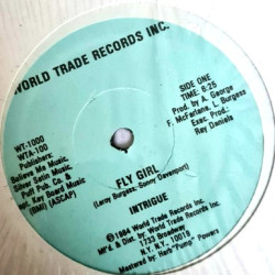 Intrigue - Fly Girl (Vocal Mix / Instrumental) Leroy Burgess Production