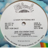 Jammers - And You Know That (Shep Pettibone Mix / Richie Weeks Mix) Vinyl Promo