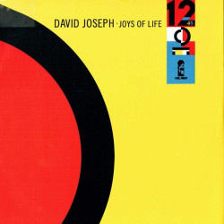 David Joseph - Joys Of life (Long Version) / Baby Wont You Take My Love