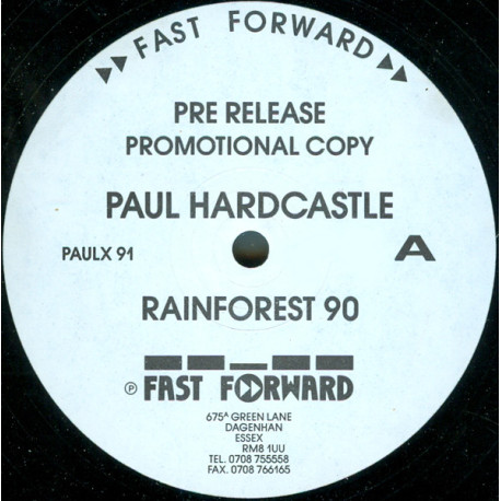 Paul Hardcastle - Rainforest (1990 Remix / Original Version) Vinyl Promo