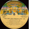 Stephanie Mills - You Cant Run From My Love (Long Version / Short Version) Still In Shrink Wrap