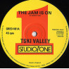 T Ski Valley - The Jam Is On / Brentford Allstars - Greedy G (Original Mix / Extended Remix)