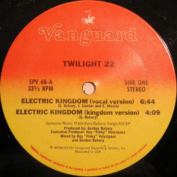 Twilight 22 - Electric Kingdom (Vocal Mix / Kingdom Version / Instrumental Dub / Radio Edit)