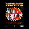 Kenlou - What A Sensation (Sensational Mix / Sensational Beats) Vinyl 12" Masters At Work Production