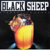 Black Sheep - Strobelight Honey (David Morales Def Mix / Yes We Did Mix / Beats / Original / No We Didnt Mix / Hot Radio Mix)