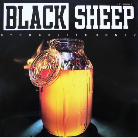 Black Sheep - Strobelight Honey (David Morales Def Mix / Yes We Did Mix / Beats / Original / No We Didnt Mix / Hot Radio Mix)