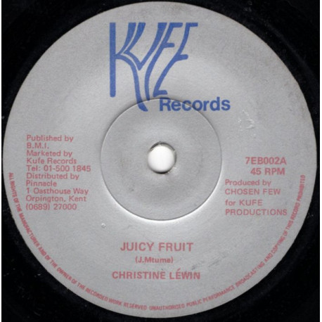 Christine Lewin - Juicy Fruit (Vocal Mix / Dub) Reggae Cover Of The Mtume Classic