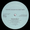 Terry Lewis And Wildflower With DJ A J Scratch – Can You Feel It (Vocal Mix / Instrumental)