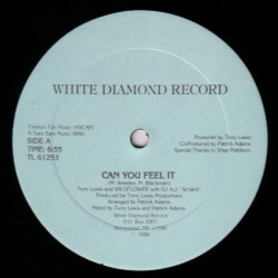 Terry Lewis And Wildflower With DJ A J Scratch – Can You Feel It (Vocal Mix / Instrumental)