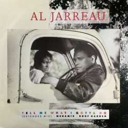 Al Jarreau - Tell Me What I Gotta Do (John Luongo Extended Mix) / Roof Garden / Al Jarreau DMC Megamix