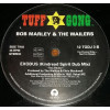 Bob Marley - Exodus (Kindread Spirit Remix) / Why Should I (Bone Remix) Vinyl Promo