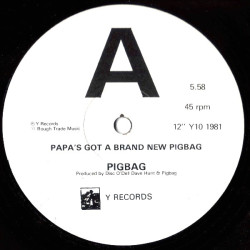 Pigbag - Papas Got A Brand New Pigbag / As It Was.... (Vinyl Promo)