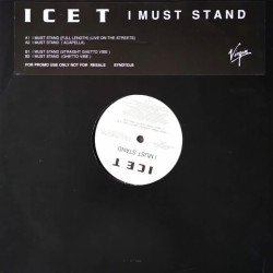 Ice T - I Must Stand (Full Length / Acappella / Straight Ghetto Vibe / Ghetto Vibe) Vinyl Promo