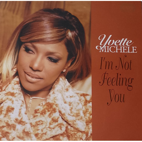 Yvette Michele - Im not feeling you (Main Mix / Inst / Acappella / Buttafingerz Vocal / Buttafingerz Dub) 12" Vinyl Record