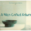 A Man Called Adam - The chrono psionic interface (12inch mix / Andrew Weatherall Spaced Out mix) / Antiworld / Lost in the green