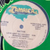 Native - Love Aint No Holiday (Extended Version / Edited Version) Vinyl Promo