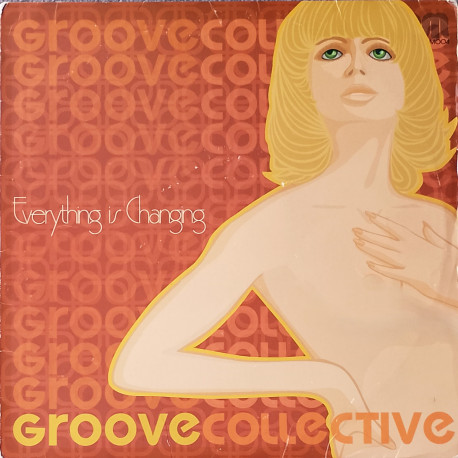 Groove Collective - Everything is changing (12" Vinyl) Swag Dub / Jays Naked Edit / Baby Mammoth mix / LP Version