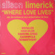 Alison Limerick - Where Love Lives (DJ 3 Vinyl) 4 Frankie Knuckles Mixes / 2 Dancing Divas Mixes / Perfecto Remix
