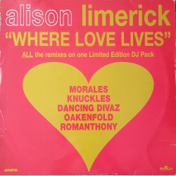 Alison Limerick - Where Love Lives (DJ 3 Vinyl) 4 Frankie Knuckles Mixes / 2 Dancing Divas Mixes / Perfecto Remix