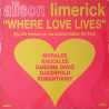 Alison Limerick - Where Love Lives (DJ 3 Vinyl) 4 Frankie Knuckles Mixes / 2 Dancing Divas Mixes / Perfecto Remix